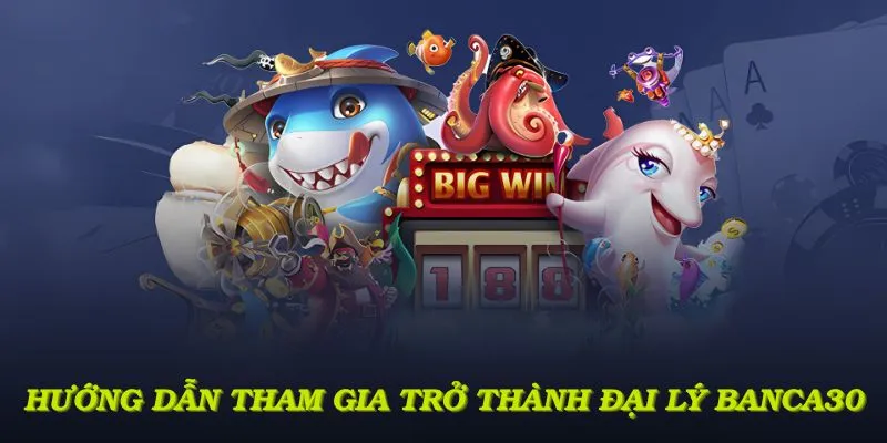 Hướng dẫn quy trình tham gia trở thành đại lý Banca30