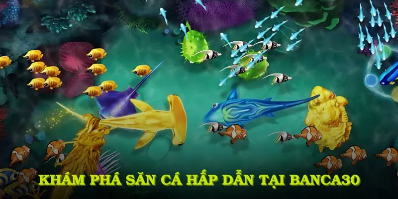 Khám phá sân chơi săn cá hấp dẫn tại Banca30