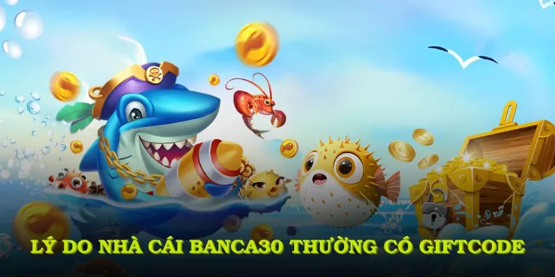 Lý do nhà cái banca30 thường xuyên có Giftcode