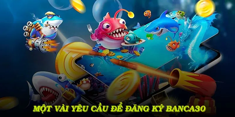 Một vài yêu cầu cần thiết để đăng ký Banca30